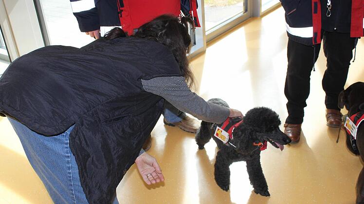 Die Besuchshunde wollen gestreichelt werden. Foto: Carmen Schwind