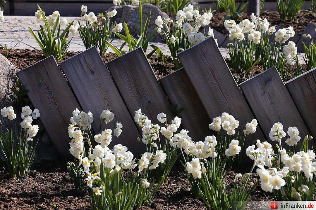 Blumen und mehr: Die Landegartenschau 2016 Bayreuth