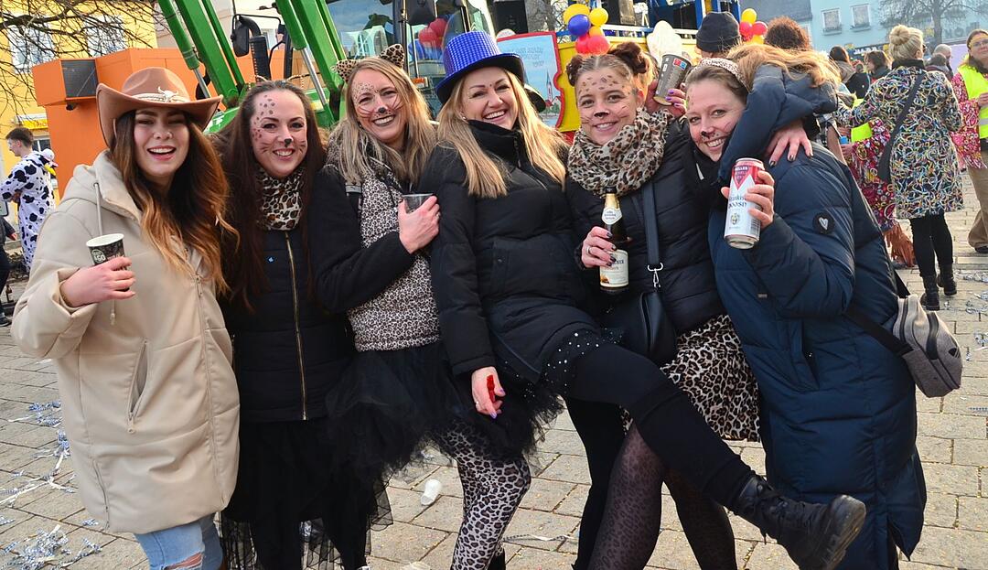 Ebermannstadt feiert Fasching!