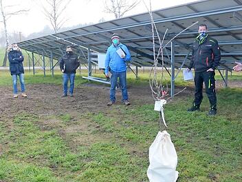 Inbetriebnahme der Photovoltaikanlage am Klärwerk des Abwasserverbandes Kronach Süd in Nagel. Von links Bürgermeister Bernd Rebhan, Markus Krauß (Markt Küps), Kai Richter (Münch Energie), Hubert Treml-Franz (Energieagentur Nordbayern), Daniel Neumann (Klärmeister) und Michael Witzgall (Münch Energie), der einen Apfelbaum zur Pflanzung überreichte. Foto: K.- H. Hofmann