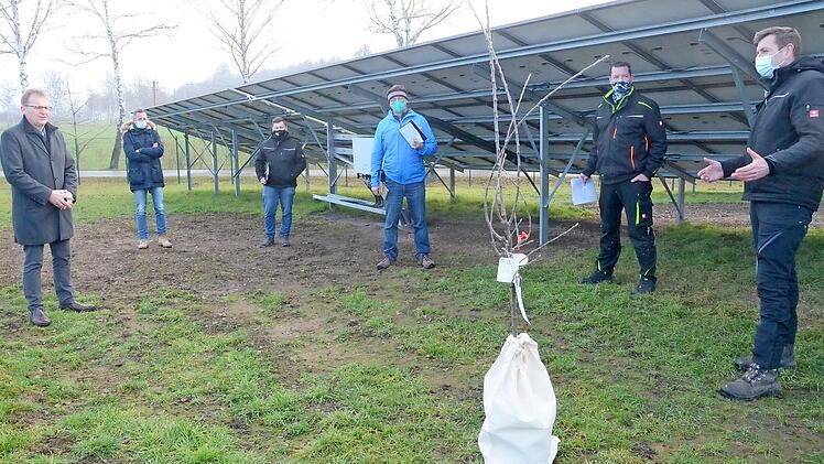 Inbetriebnahme der Photovoltaikanlage am Klärwerk des Abwasserverbandes Kronach Süd in Nagel. Von links Bürgermeister Bernd Rebhan, Markus Krauß (Markt Küps), Kai Richter (Münch Energie), Hubert Treml-Franz (Energieagentur Nordbayern), Daniel Neumann (Klärmeister) und Michael Witzgall (Münch Energie), der einen Apfelbaum zur Pflanzung überreichte. Foto: K.- H. Hofmann