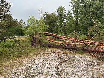 Unwetter w&uuml;tet &uuml;ber Erlangen und N&uuml;rnberg: Hagel und Stra&szlig;enblockaden