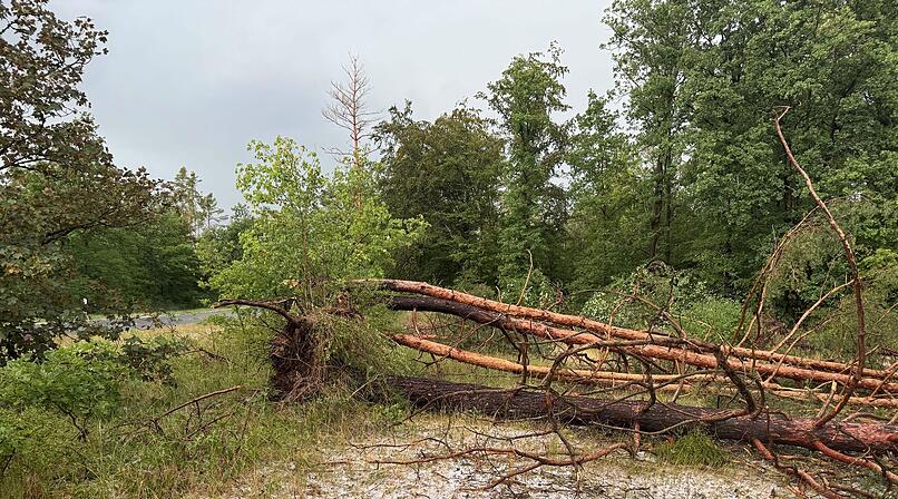 Unwetter w&uuml;tet &uuml;ber Erlangen und N&uuml;rnberg: Hagel und Stra&szlig;enblockaden
