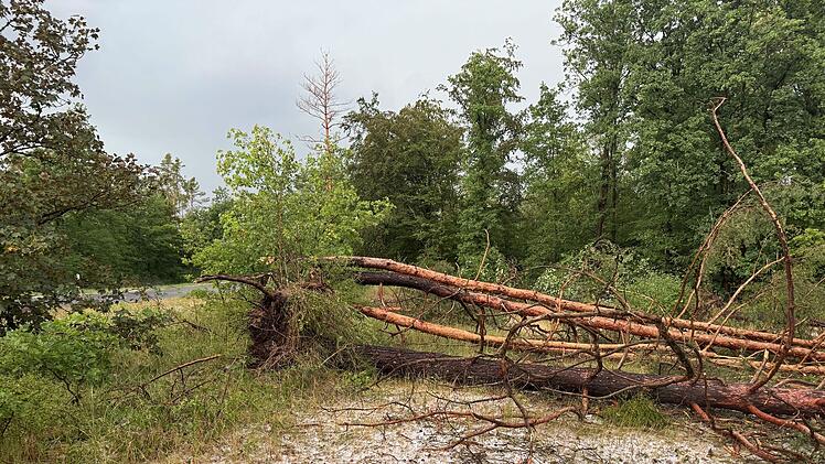 Unwetter w&uuml;tet &uuml;ber Erlangen und N&uuml;rnberg: Hagel und Stra&szlig;enblockaden
