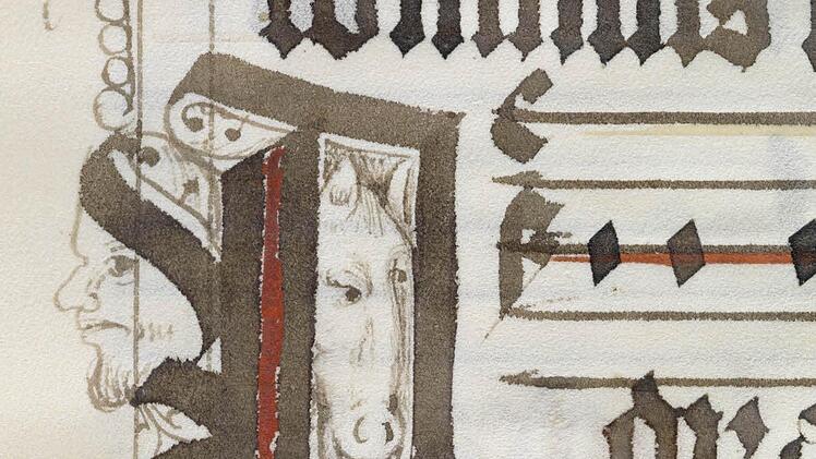 Auch das Pferd des Domreiters ist in der Handschrift abgebildet. Foto: Gerald Raab/Staatsbibliothek Bamberg