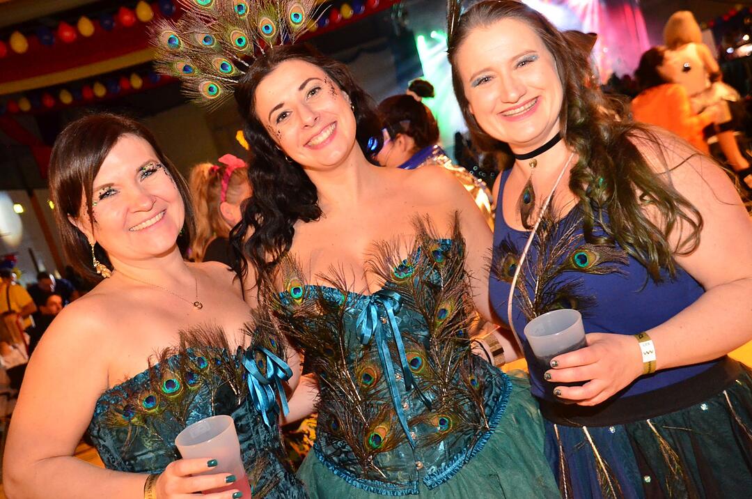 Ebermannstadt feiert Fasching!