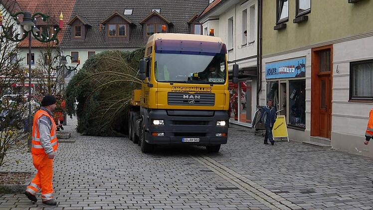 Aufstellung des Neustadter Weihnachtsbaumes Foto: Berthold Köhler
