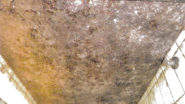 Stark schwarzschimmelähnlich verunreinigter Vorbereich  der Luftzuführung Quelle: Foodwatch