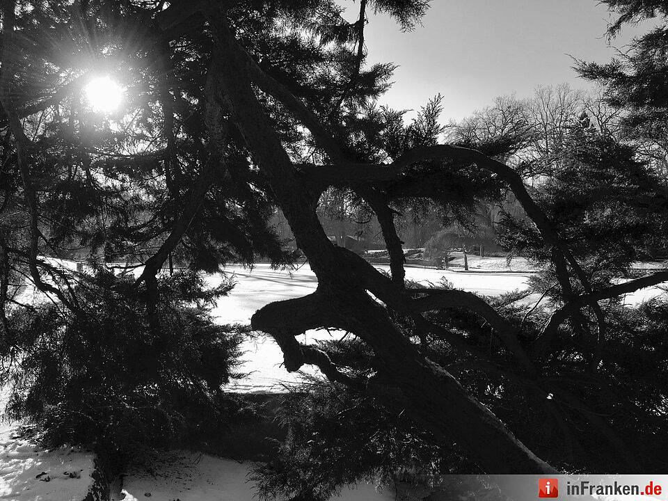 Eis und Schnee in Franken - die schönsten Winterleserfotos