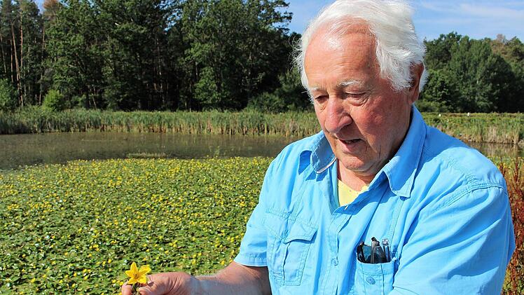 Biologe Hans Krautblatter zeigt den Teichenzian. Im Hintergrund ist eine große Wasserfläche damit besiedelt.   Foto: Evi Seeger