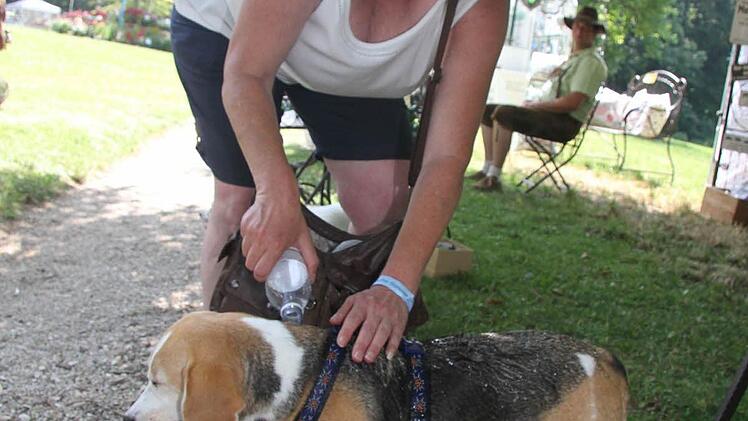 Frauchen Petra Eber-Kohles schützte sich beim Einkaufsbummel mit einem Sonnenhut - und Hund Kira bekam zwischendurch immer mal wieder eine kühle Erfrischung übers Fell gegossen. Foto: Sonja Adam