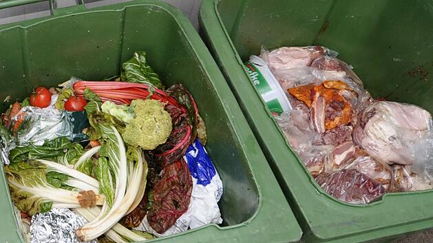 Biomüll: Das darf in die braune Tonne - und das nicht