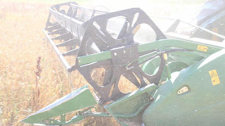 Das Mähwerk "sammelt" den Weizen ein.  Foto: Friedwald Schedel