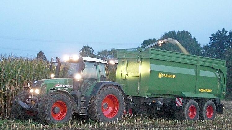 Wegen der langanhaltenden Trockenheit und Hitze m&uuml;ssen Landwirte heuer ihren Mais verst&auml;rkt nachts oder fr&uuml;hmorgens ernten. Foto: BBV
