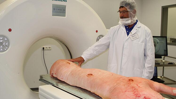 Reinhard Höreth schickte eine Schweinehälfte in den Computertomographen. Dabei kann der Muskelfleischanteil klar bestimmt werden.  Foto: Sonny Adam