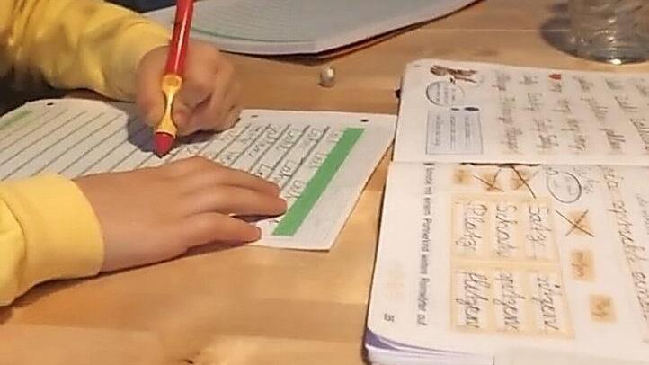 Manche Mütter versuchen es mit Humor zu nehmen: Homeschooling am Küchentisch. Foto: Screenshot Lehmann