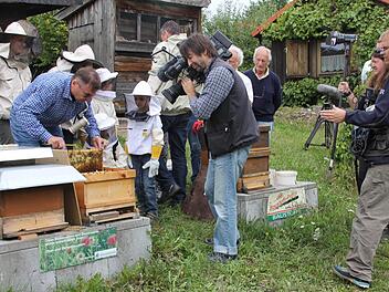 Den Imkern auf die Finger schaute das Fernsehteam.