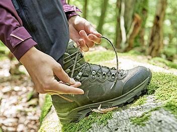 Herbstzeit ist Wanderzeit, die Wanderbroschüre von Steigerwald-Tourismus macht schöne Tourenvorschläge.