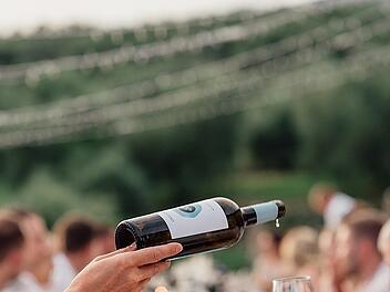 Wein am Stein W&uuml;rzburg 2026: Lifestyle, Musik und Weinkultur zwischen den Reben.