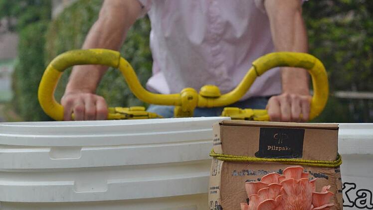 Pilze aus Kaffeesatz Foto: Nikolas Pelke