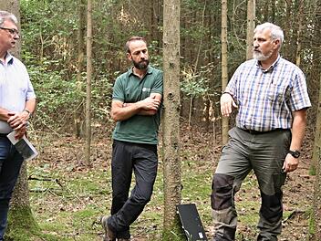 Forstoberrat Jürgen Hahn (rechts) bei seinen Ausführungen zum Vegetationsgutachten und weiteren Themen. Aufmerksame Zuhörer (von links): Bürgermeister Helmut Dietz und Sven Kaps. Foto: Helmut Will