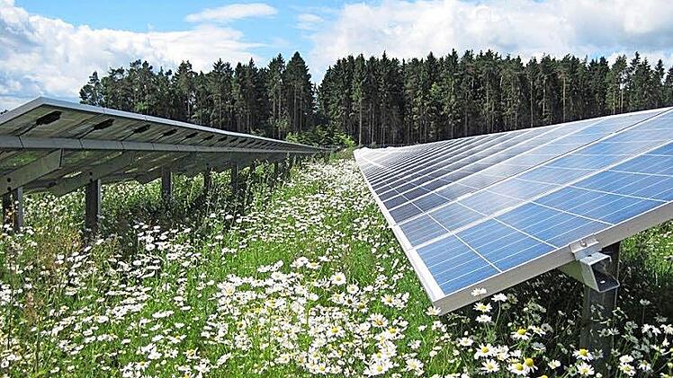 Blumenwiesen unter Solarpaneelen: So zeigt die Firma IBC aus Staffelstein ihren Jura-Solarpark. Zwei Projekte mit insgesamt 20 Megawatt Leistung im Coburger Land haben nun den Zuschlag der Bundesnetzagentur erhalten. Foto: IBC Solar