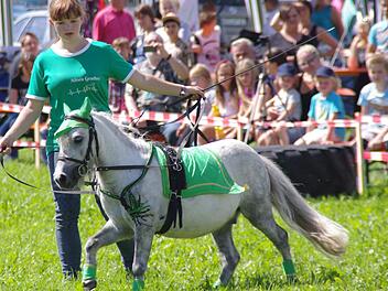Alisea Geuther mit einem ihrer Mini-Ponys. Foto: Marco Meißner