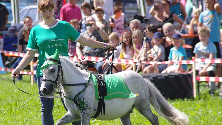 Alisea Geuther mit einem ihrer Mini-Ponys. Foto: Marco Meißner