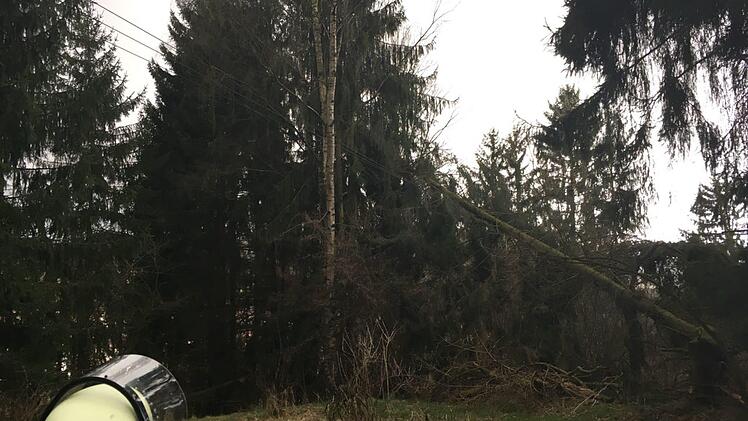 Am Röhrenweg bei Ziegelerden landete ein Baum in einer Stromleitung. Foto: Freiwillige Feuerwehr Kronach