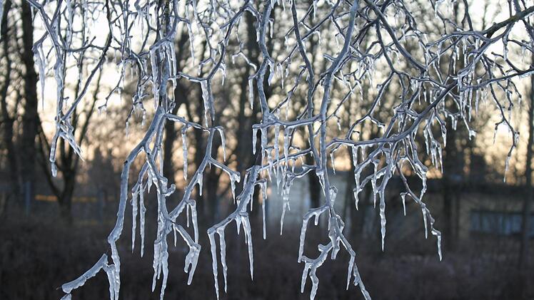 Eine wundersch&ouml;ner Nebeneffekt des geplatzten Schlauches. Foto: Ronald Heck