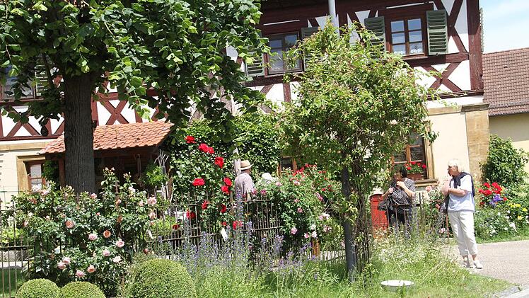 Beim Rosentag in Birkach stand die Königin der Blumen an allen Ecken und Enden in voller Blüte.    Foto: Gerda Völk
