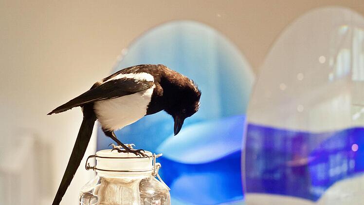 Janna Manousis: Distilled Portrait 1 /2012, Kristallglas, Elsterpr?parat, Stahl / Gegossen, verspiegelt /Coburger Glaspreis 2014, Glasmuseum Rosenau / Foto: Jochen Berger