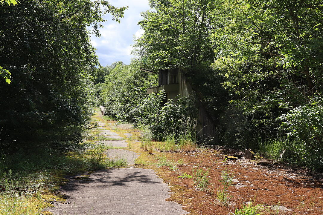 Lost Place US-Waffenbunker im Wald