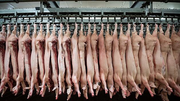 In Unterfranken hat ein Dieb 16 Kilogramm Schweinefleisch aus einer Metzgerei gestohlen. Symbolfoto: Mohssen Assanimoghaddahm/dpa