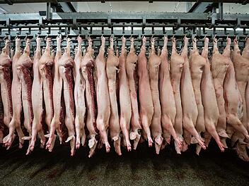 In Unterfranken hat ein Dieb 16 Kilogramm Schweinefleisch aus einer Metzgerei gestohlen. Symbolfoto: Mohssen Assanimoghaddahm/dpa