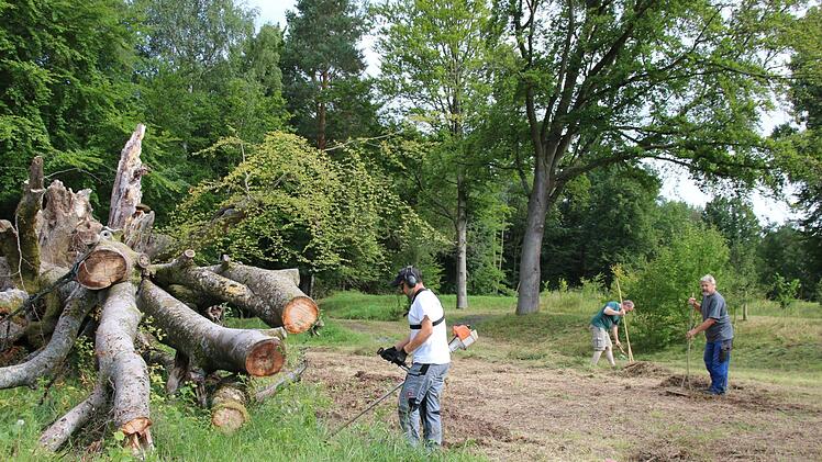 Die Vorbereitungen für das Hutbuchenfest laufen bereits. Am vergangenen Wochenende haben die Frauenrother Fabian Metz (von links), Georg Grom und Albin Kessler den Festplatz an der Hutbuche gemäht. Von dem Baum ist allerdings nicht mehr viel übrig. Foto: Kathrin Kupka-Hahn