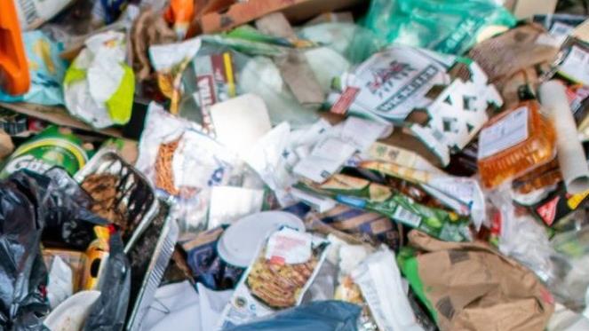 Oft wird Müll achtlos in der Natur weggeworfen. Symbolbild: Guido Kirchner/dpa