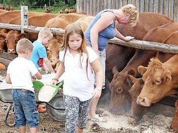 Auf dem Bauernhof in der "Au" durften die Kinder der Erlebnisbäuerin Marina Pietsch beim Füttern der Angusrinder helfen. Foto: Werner Reißaus