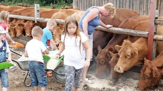 Auf dem Bauernhof in der "Au" durften die Kinder der Erlebnisbäuerin Marina Pietsch beim Füttern der Angusrinder helfen. Foto: Werner Reißaus