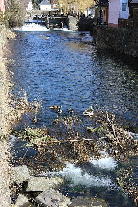 SoS Steinwiesen Lkr. KC; Foto: Barbara Herbst