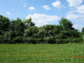 Ein Biotop, das jetzt natürlich schneebedeckt ist: die Hecke Sollenberg. Foto: Landratsamt Forchheim