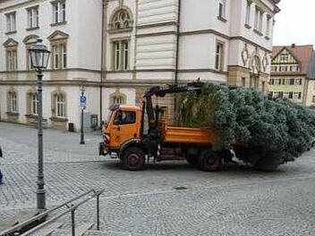 Die Blaufichte wird auf den Markt gebracht. Fotos: privat/Jochen Nützel