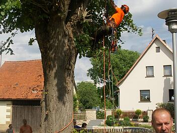 Hoch hinauf auf den Baumwipfel ging es bei dieser Vorf&uuml;hrung. Fotos: Joseph Beck