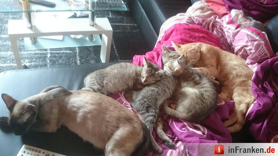 Foto: Marianne Dinkel