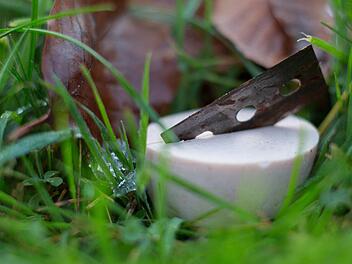 Dörfles-Esbach: Gemeinde stellt Warnschilder zu Hundeködern auf - "mit Rasierklingen"