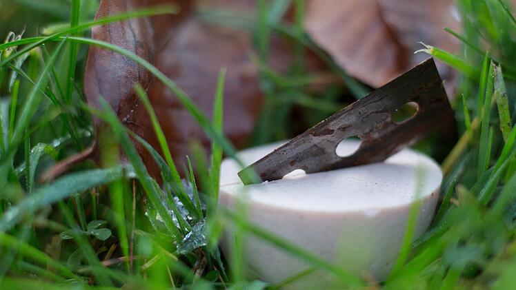 Dörfles-Esbach: Gemeinde stellt Warnschilder zu Hundeködern auf - "mit Rasierklingen"