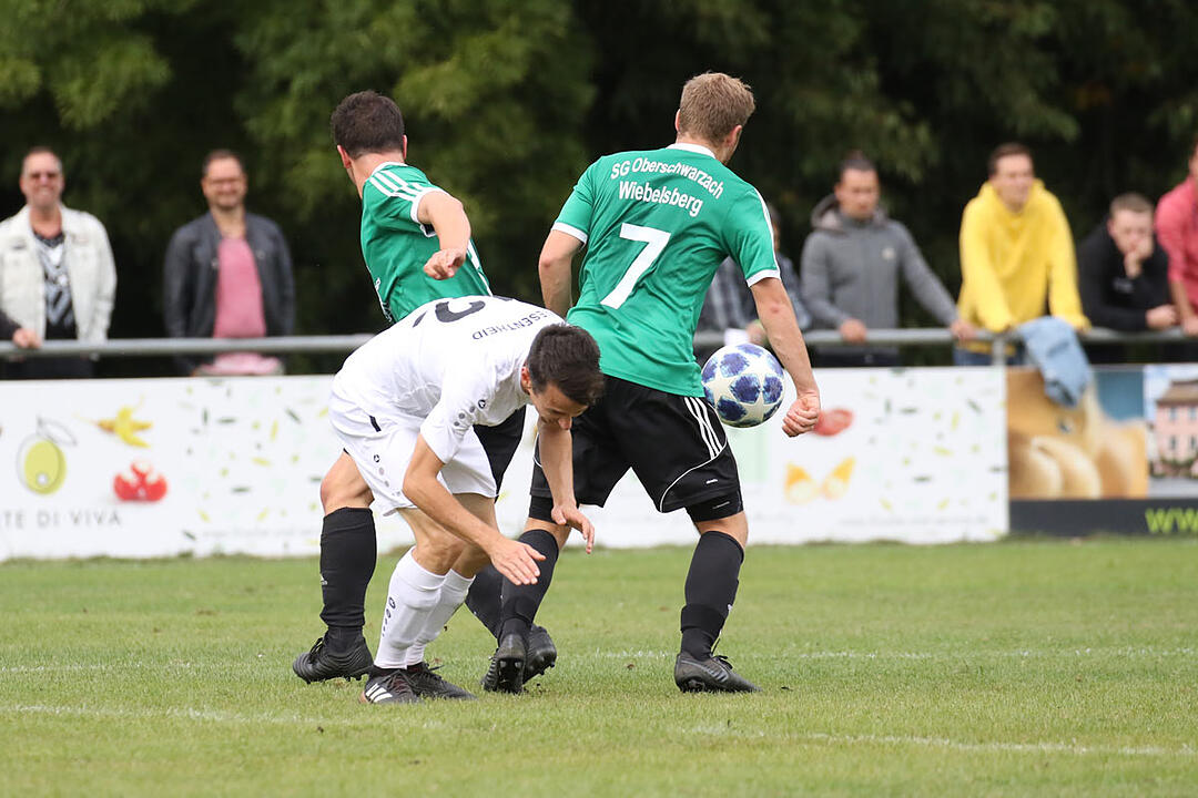 TSV/DJK Wiesentheid - SV-DJKberschwarzach