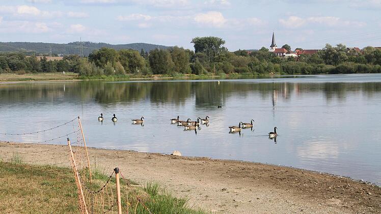 Die Kanadag&auml;nse  haben sich den Uferbereich erobert und  den See jetzt ganz f&uuml;r sich allein. Foto: Sonny Adam