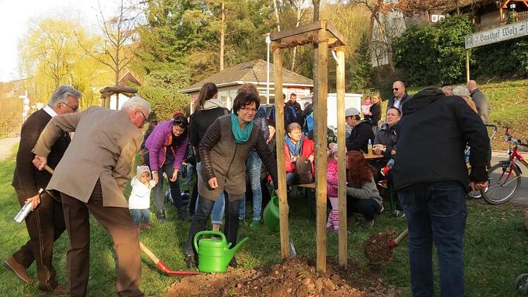 Die Kastanie wird "gepflanzt" - Bürgermeisterin Patricia Schießer gießt an. Foto: Doris Bauer