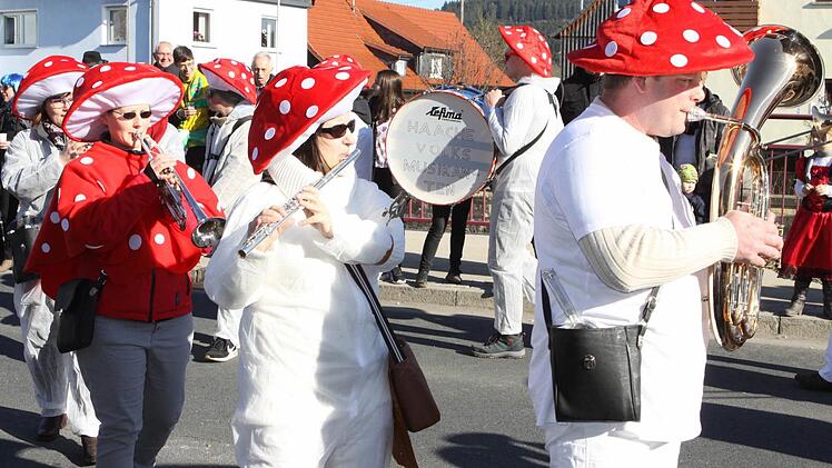Impressionen vom Faschingsumzug in Neukenroth. Foto: Michael Wunder